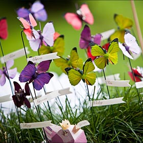 matrimonio a tema farfalle e fiori