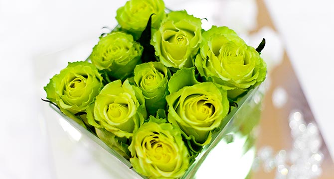 matrimonio-verde-mela