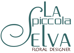 www.lapiccolaselva.com