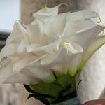 bouquet-sposa-calla